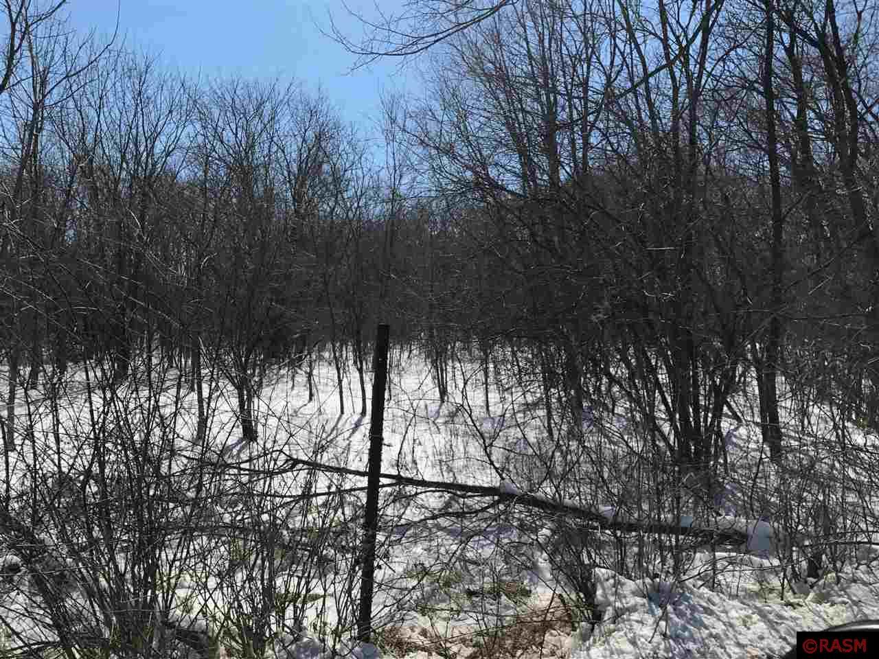 TBD Elm, Kasota, MN 56050