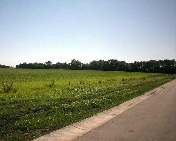 12 Marples Ave, Minnesota Lake, MN 56068