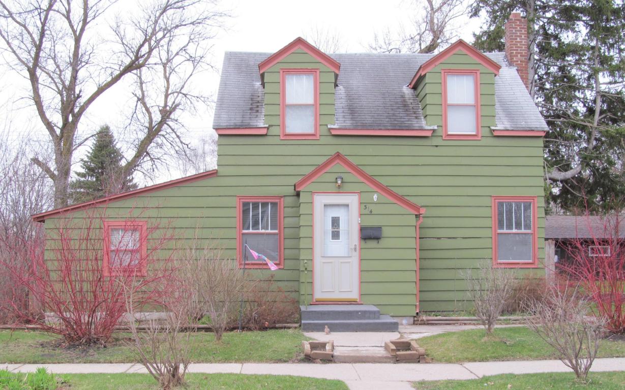 314 10th Street, Benson, MN 56215