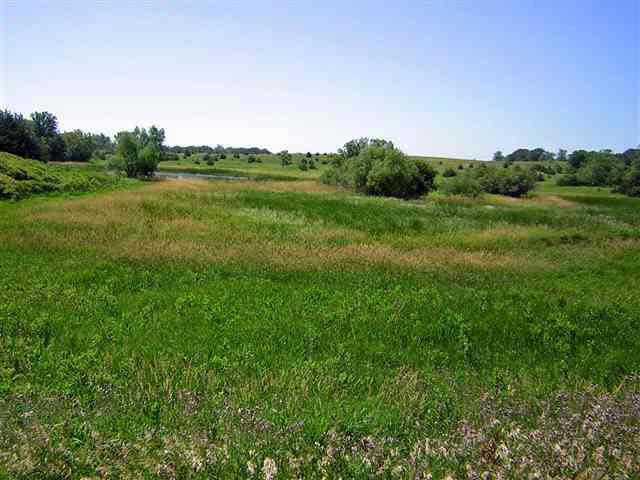 Xxxxxx Co. Rd 10, Spicer, MN 56288