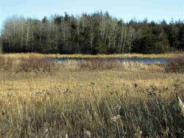 Xxxxxx Co. Rd 10, Spicer, MN 56288