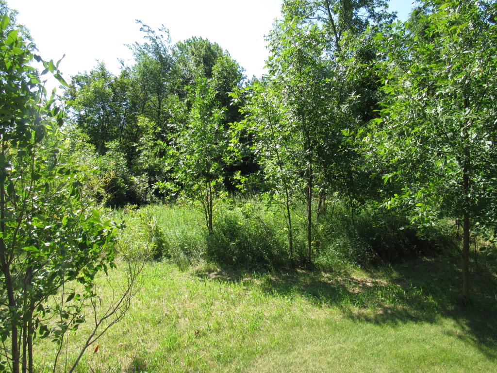 Lot 10 Birchwood Road NW, Alexandria, MN 56308