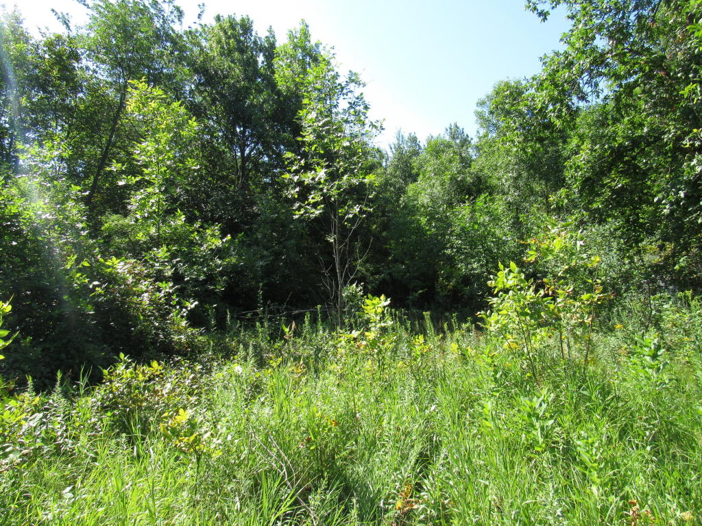 Lot 10 Birchwood Road NW, Alexandria, MN 56308