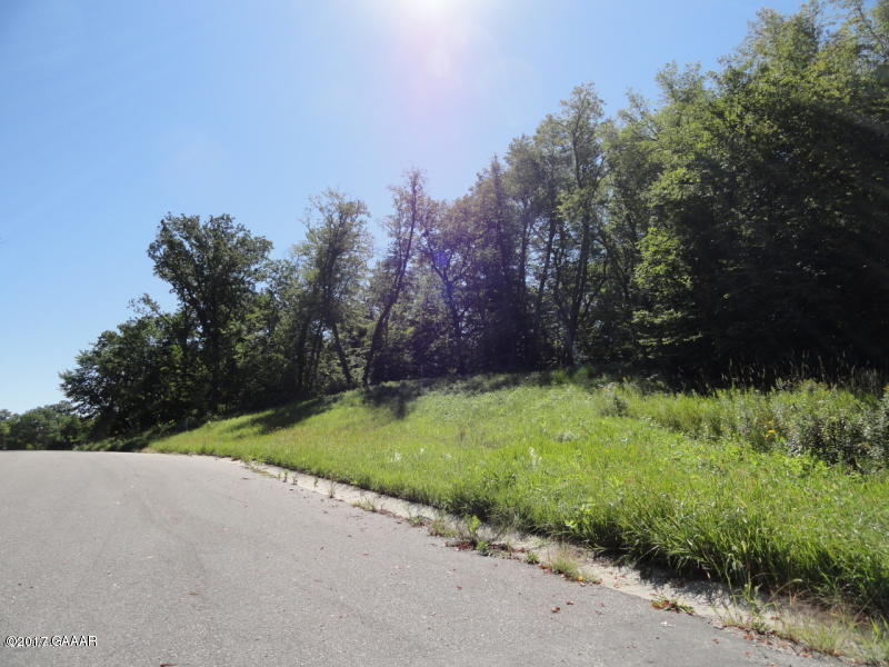 Ida View Court, Alexandria, MN 56308
