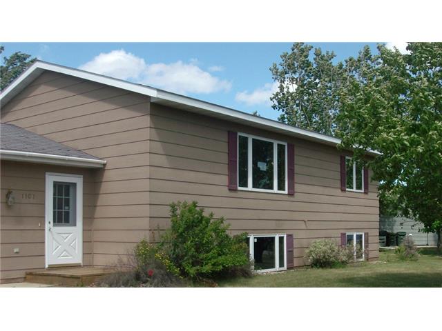 1107 Brigitta DrAlexandria, MN, 56308Douglas County