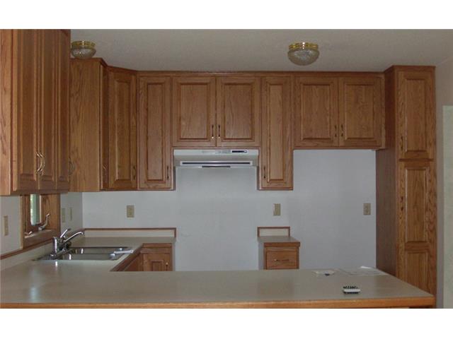 1107 Brigitta DrAlexandria, MN, 56308Douglas County