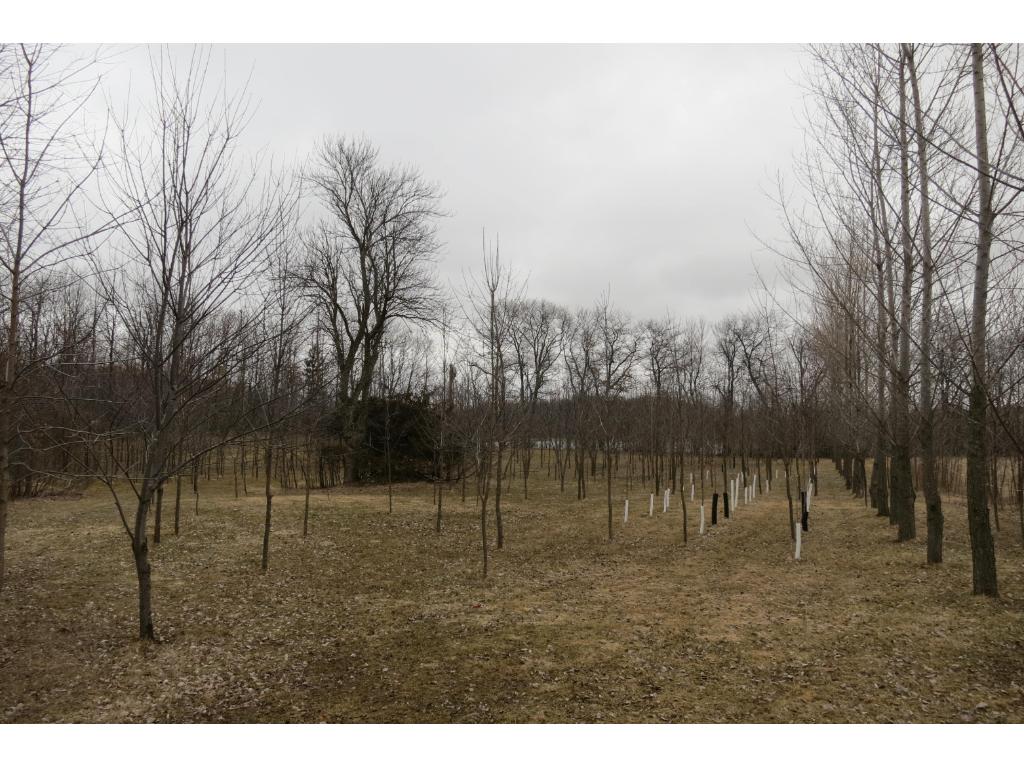 xxx Agate Road, Burtrum, MN 56318
