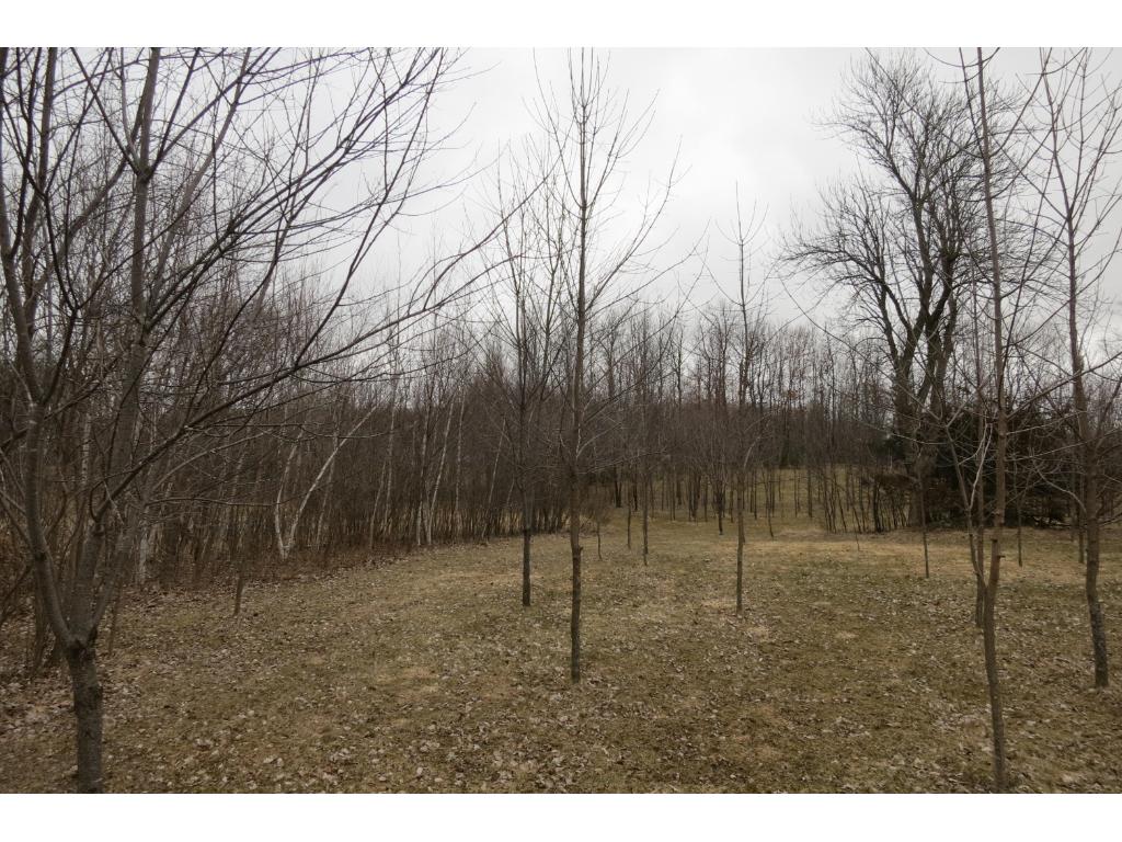 xxx Agate Road, Burtrum, MN 56318