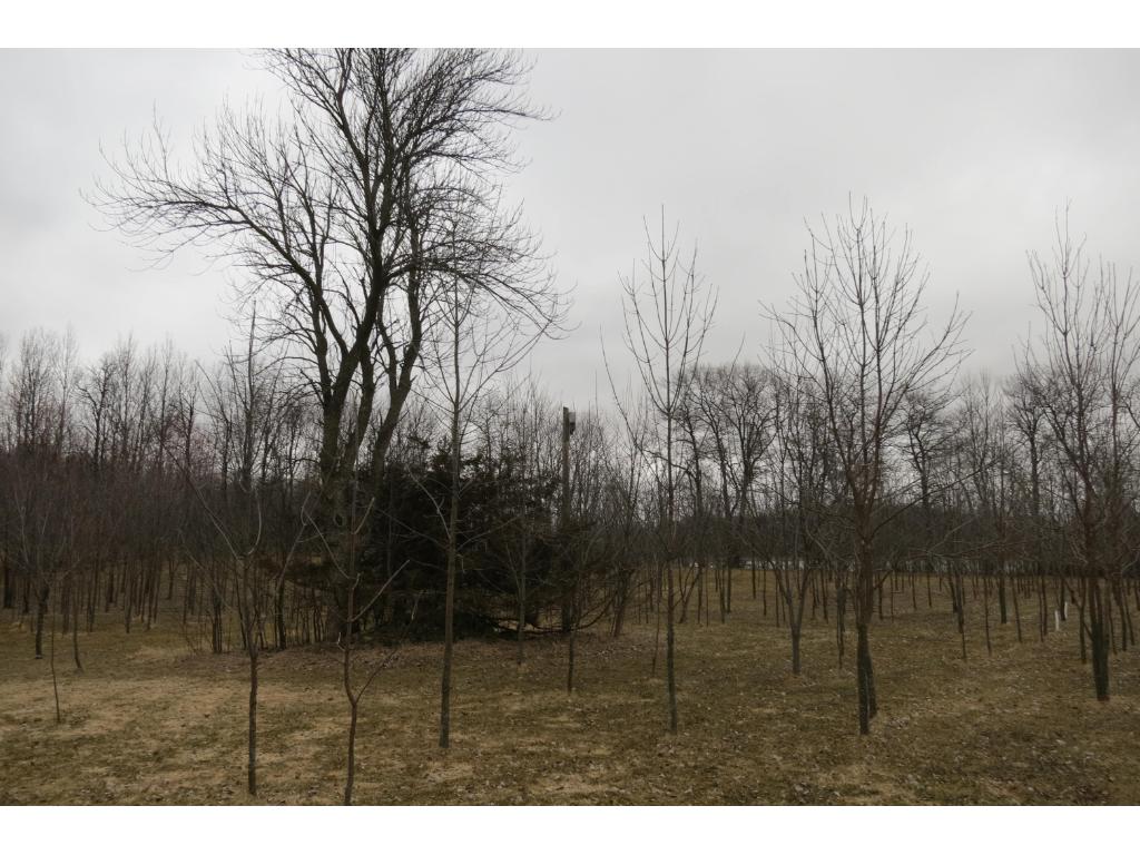 xxx Agate Road, Burtrum, MN 56318