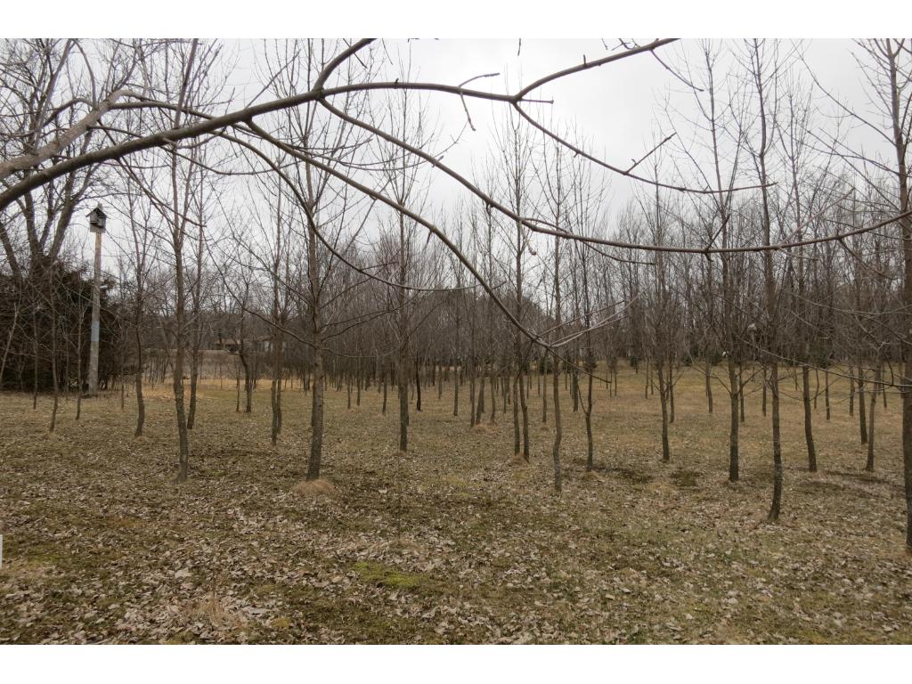 xxx Agate Road, Burtrum, MN 56318