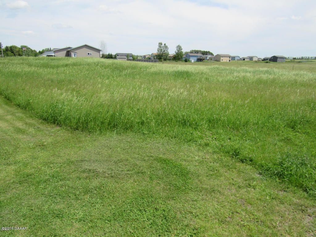 310 6th Street W, Carlos, MN 56319