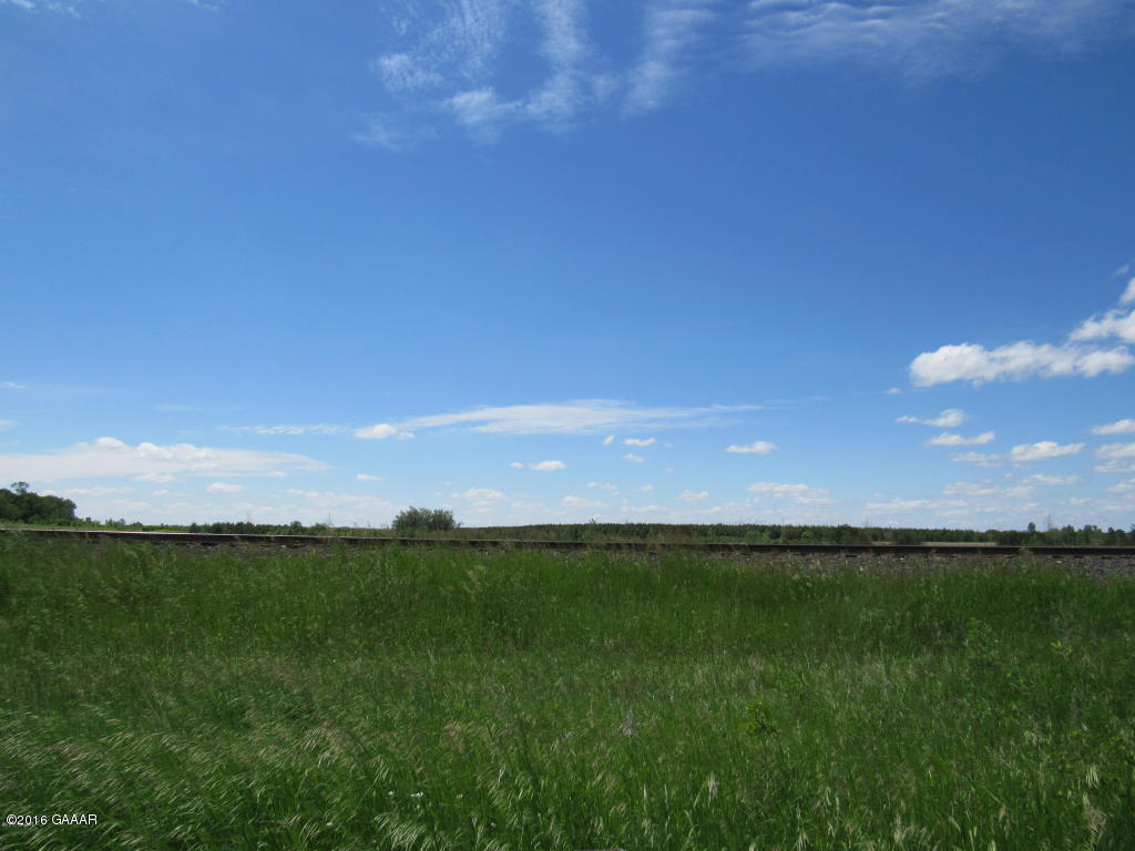 310 6th Street W, Carlos, MN 56319
