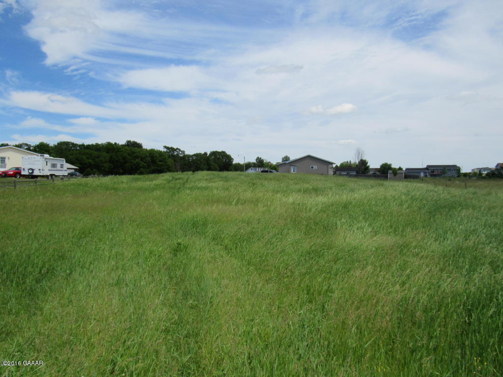 310 6th Street W, Carlos, MN 56319