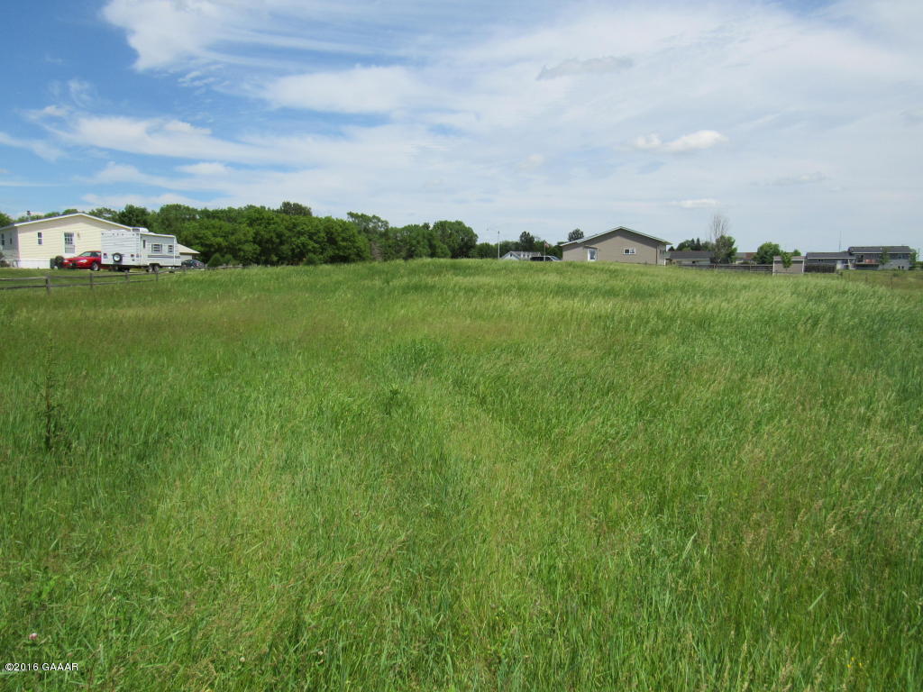 310 6th Street W, Carlos, MN 56319