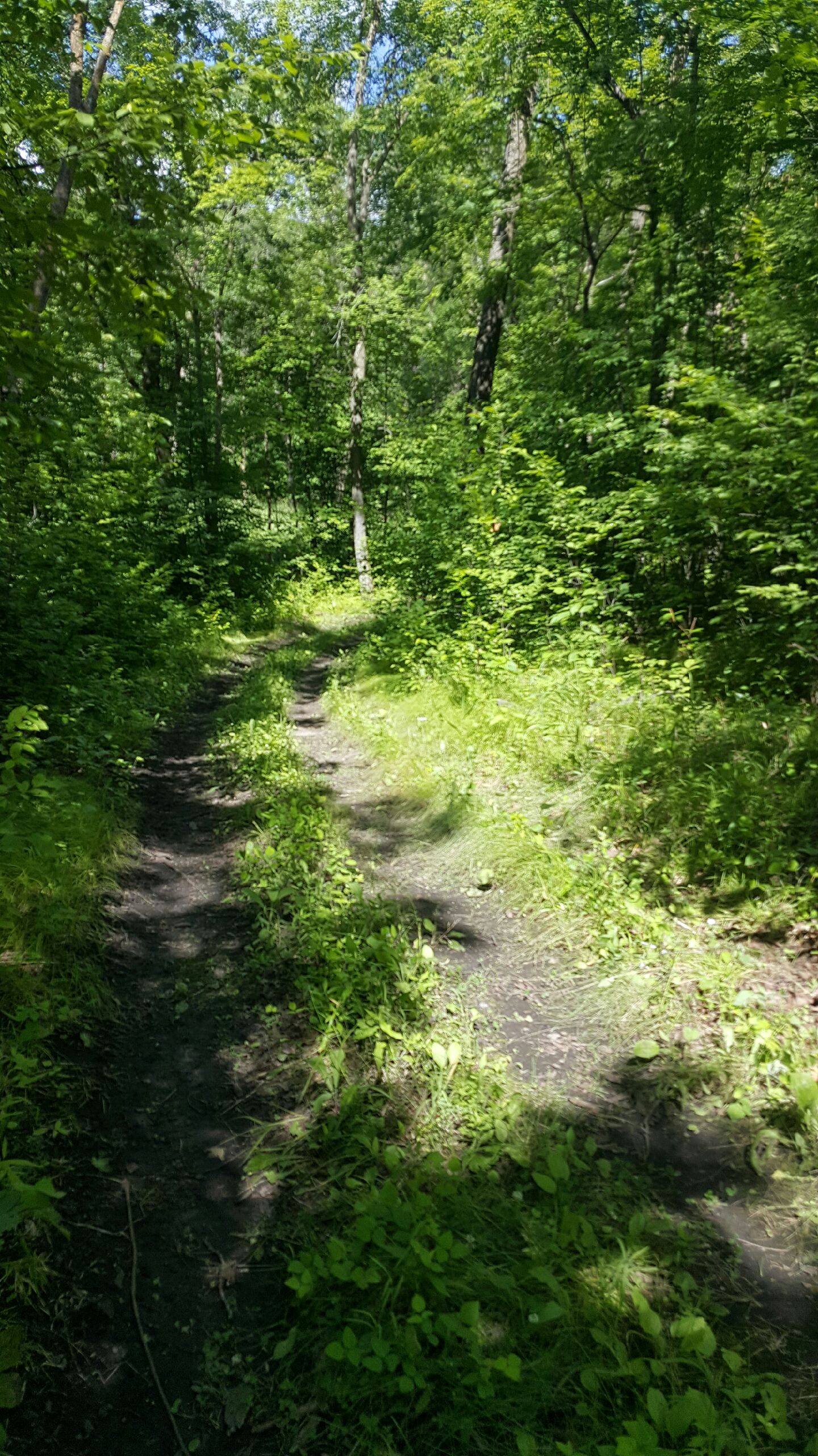 Timber Lane SW, Garfield, MN 56332