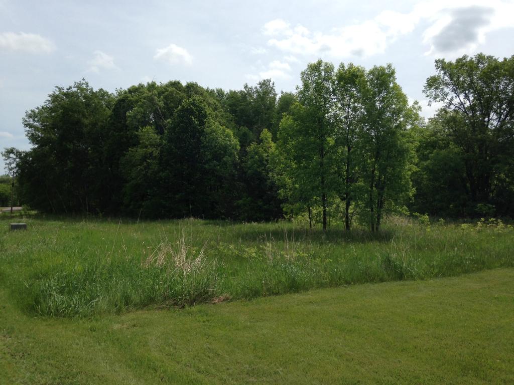 001 Alligator Road, Birchdale Twp, MN 56336