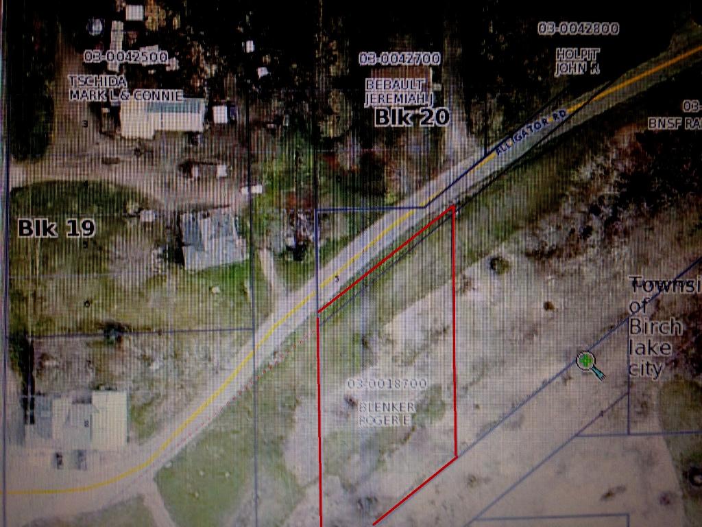 001 Alligator Road, Birchdale Twp, MN 56336