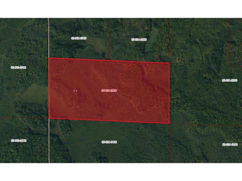 XXX Minimum Maintenance Road, Isle, MN 56342