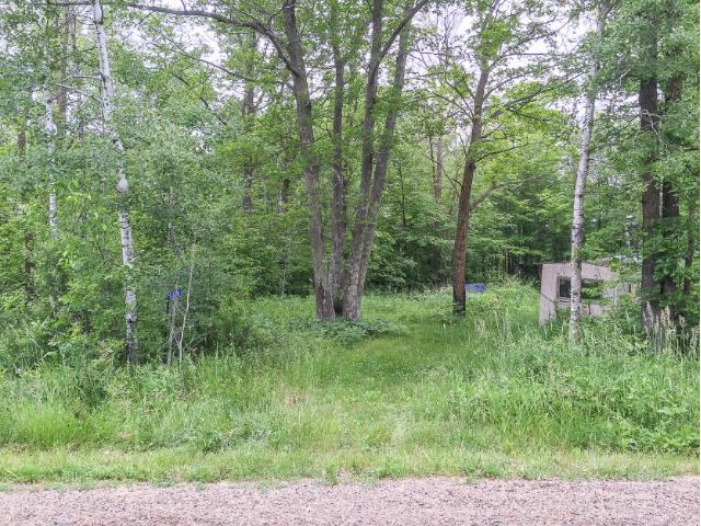 3196 462nd Street, East Side Twp, MN 56342