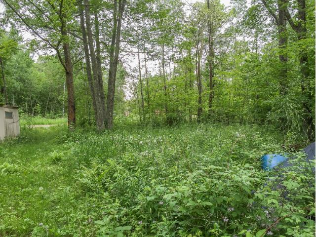 3196 462nd Street, East Side Twp, MN 56342
