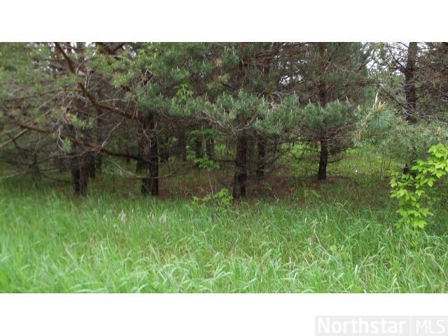 Lot 1 Block Goldstone Drive, Long Prairie, MN 56347