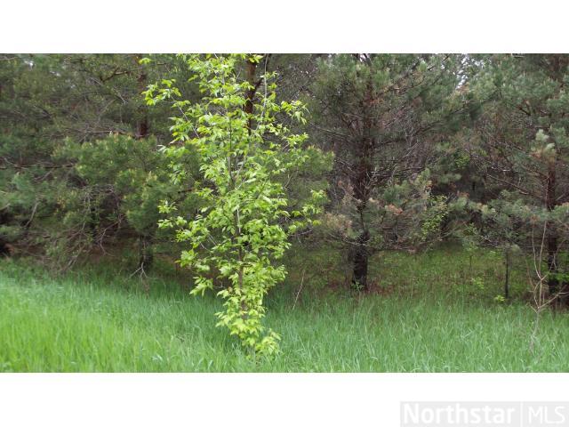 Lot 3 Block Goldstone Drive, Long Prairie, MN 56347