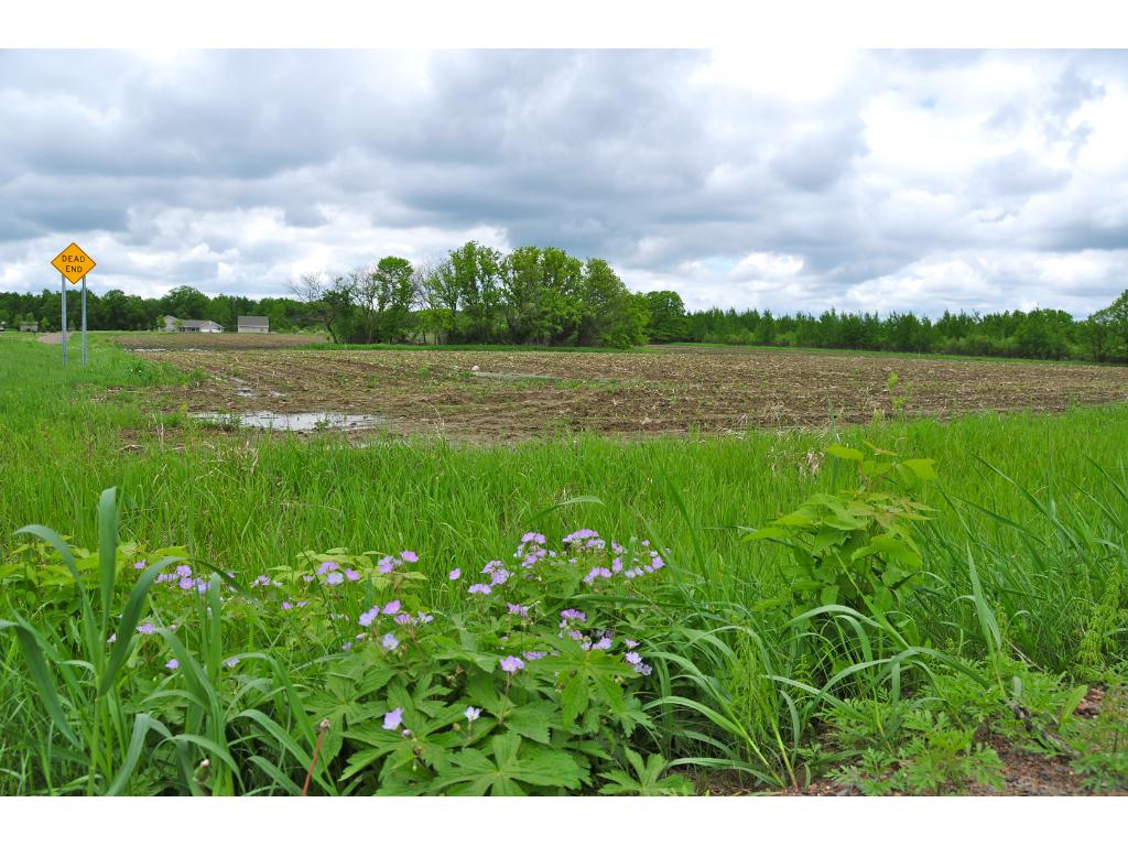 xxxxx 134th Street, Milaca, MN 56353