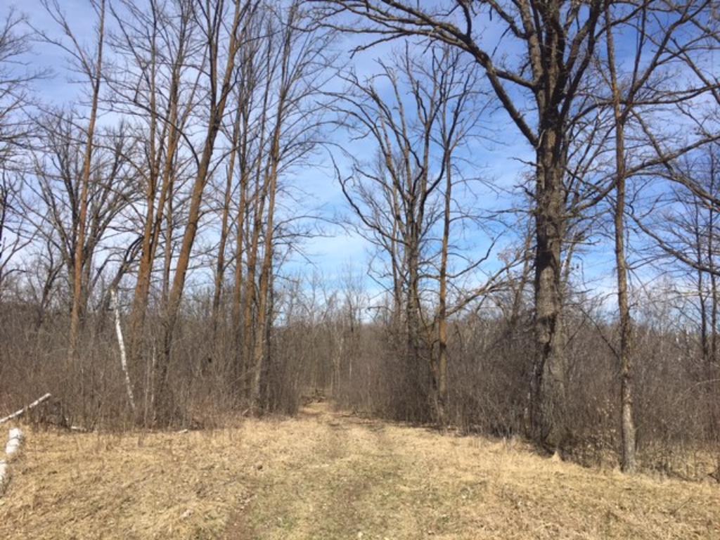 13778 208th Street, Milaca, MN 56353