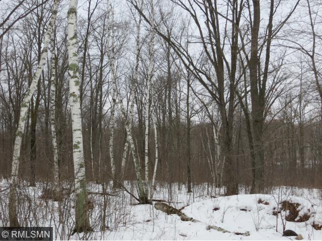 18XXX 57th Avenue, Milaca, MN 56353