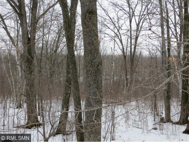 18XXX 57th Avenue, Milaca, MN 56353
