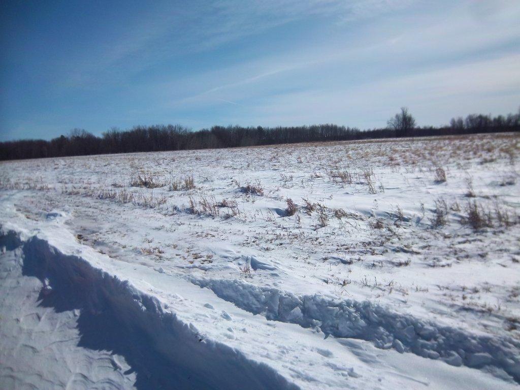 205 Greenview Lane, Miltona, United States 56354