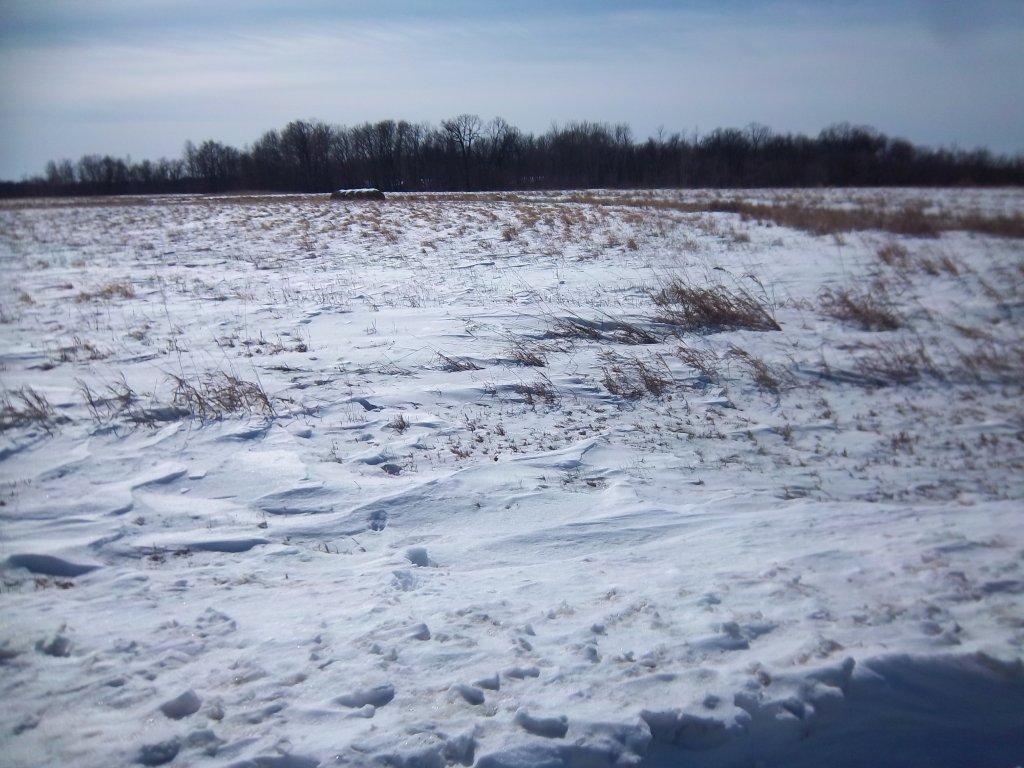 205 Greenview Lane, Miltona, United States 56354