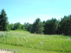 Lot 9, Blk 3 Goldfinch Circle, Miltona, MN 56354