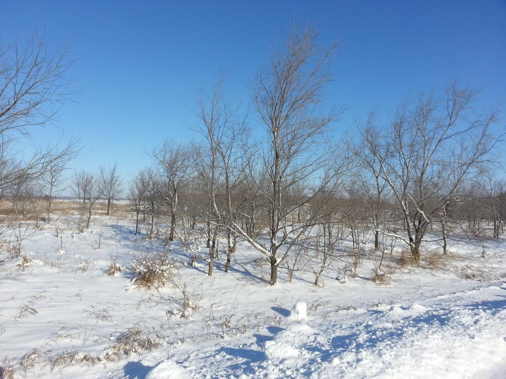 40964 Sauk Lake Road, Sauk Centre, MN 56378
