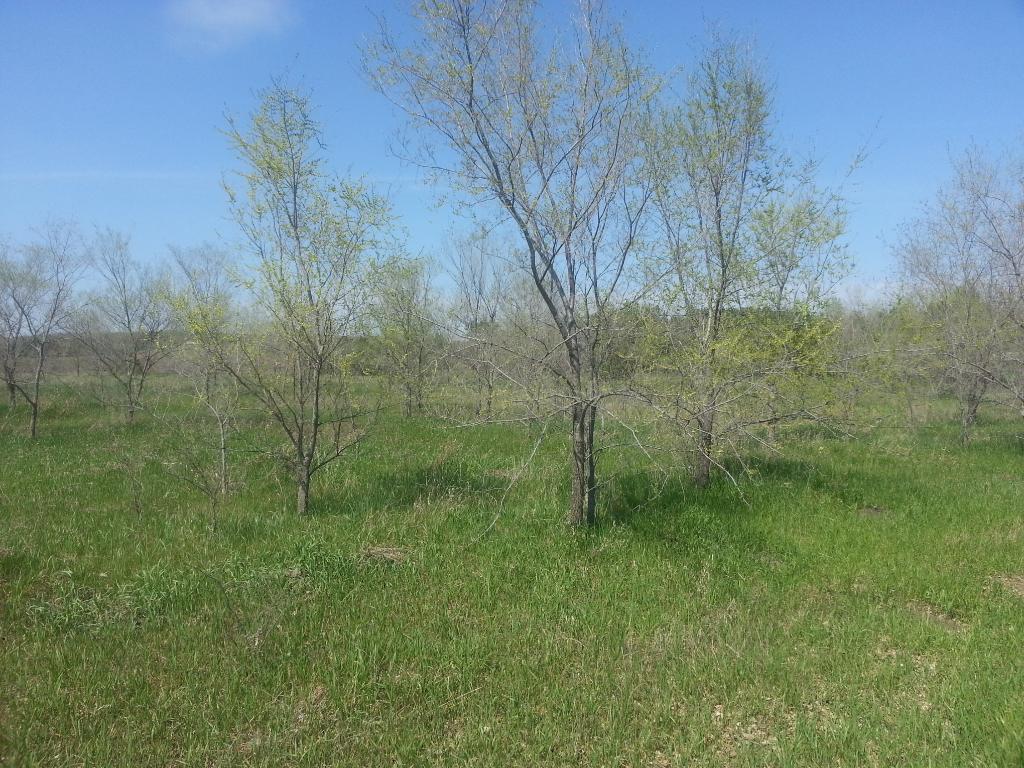 40928 Sauk Lake Road, Sauk Centre, MN 56378