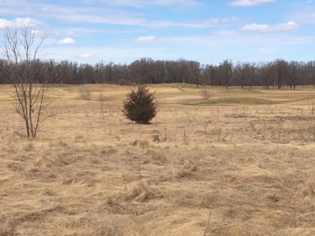 XXX Andrews Drive, Sauk Centre, MN 56378