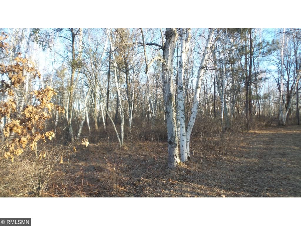 TBD Big Bear Trail, Brainerd, MN 56401