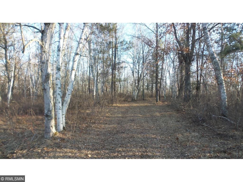 TBD Big Bear Trail, Brainerd, MN 56401