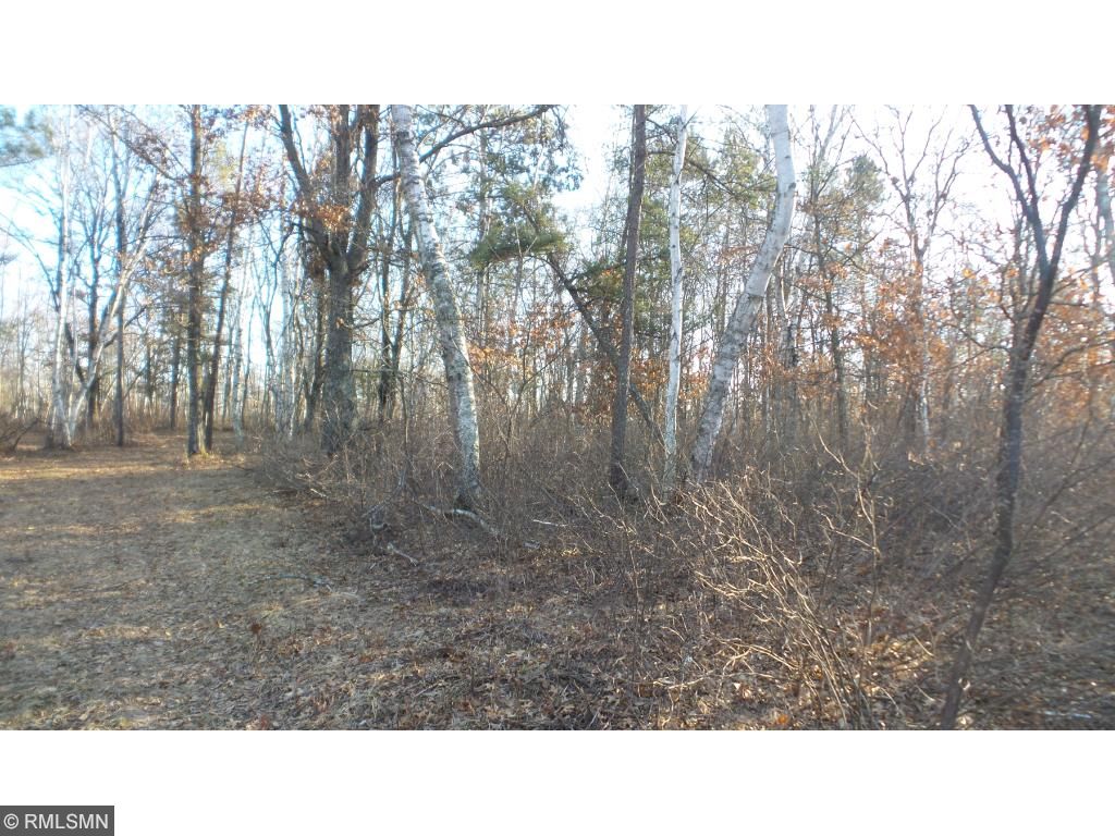 TBD Big Bear Trail, Brainerd, MN 56401