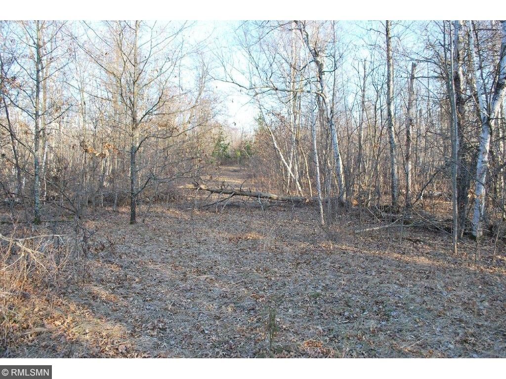 xxx 100th Street, Brainerd, MN 56401