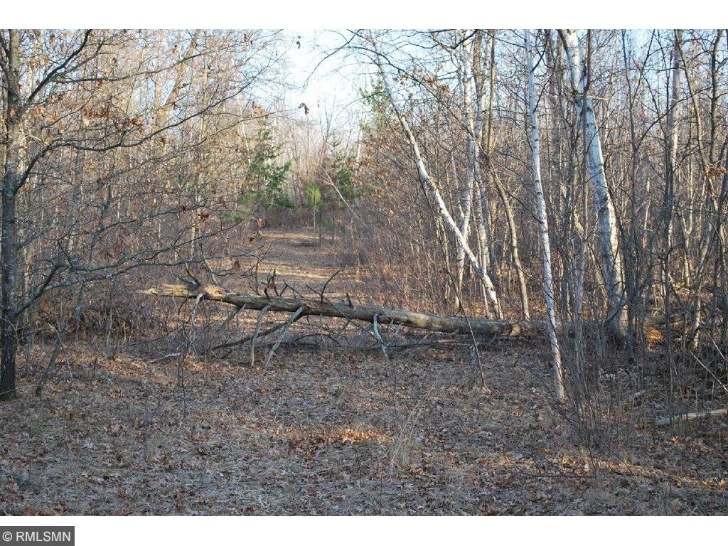 xxx 100th Street, Brainerd, MN 56401