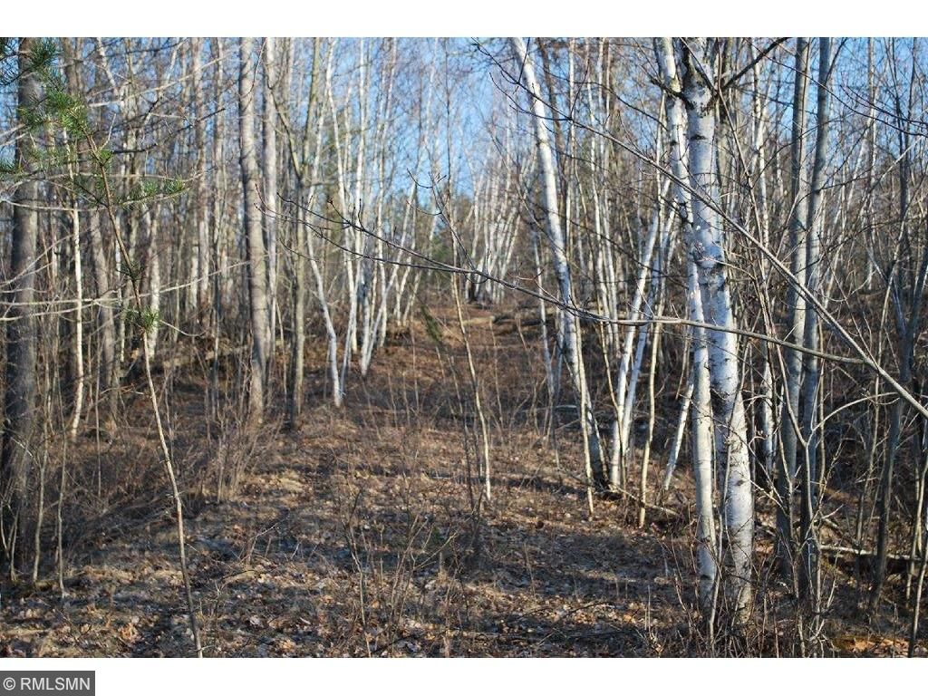 xxx 100th Street, Brainerd, MN 56401