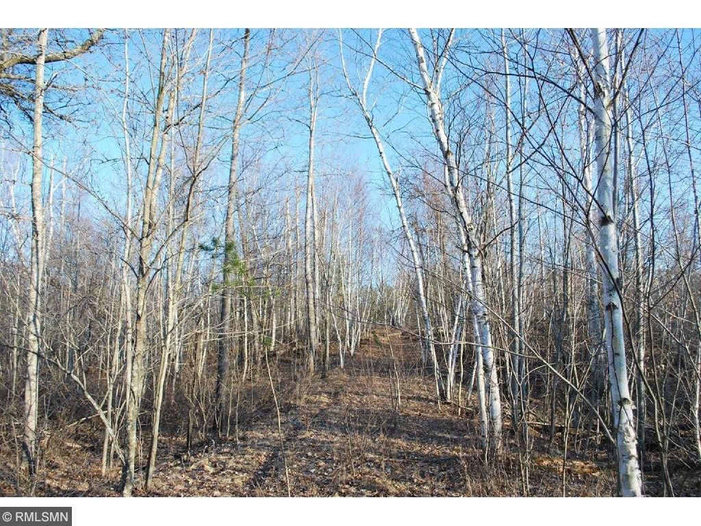 xxx 100th Street, Brainerd, MN 56401
