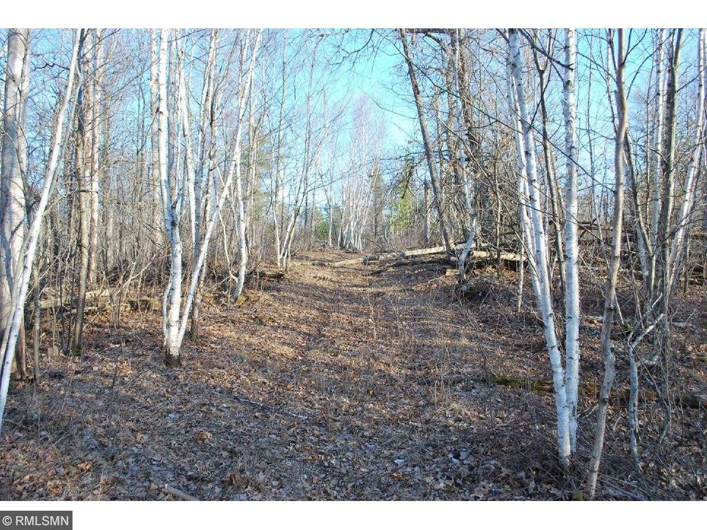 xxx 100th Street, Brainerd, MN 56401