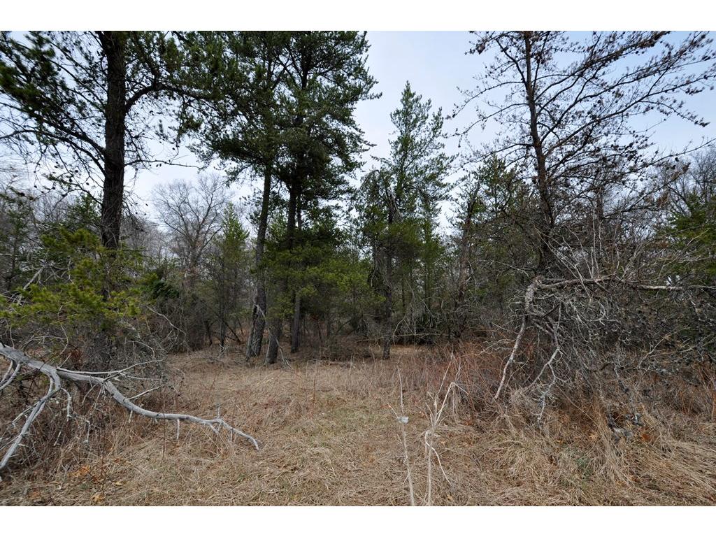 TBD Red Sequoia Drive, Baxter, MN 56425