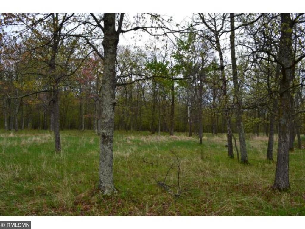 XXX County Road 31, Aitkin, MN 56431