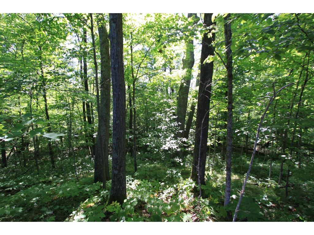 TBD Ross Woodlands Road, Aitkin, MN 56431