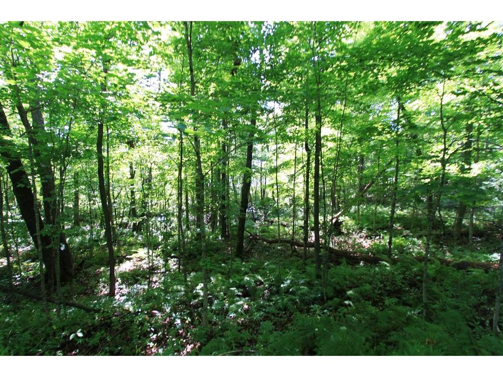 TBD Ross Woodlands Road, Aitkin, MN 56431