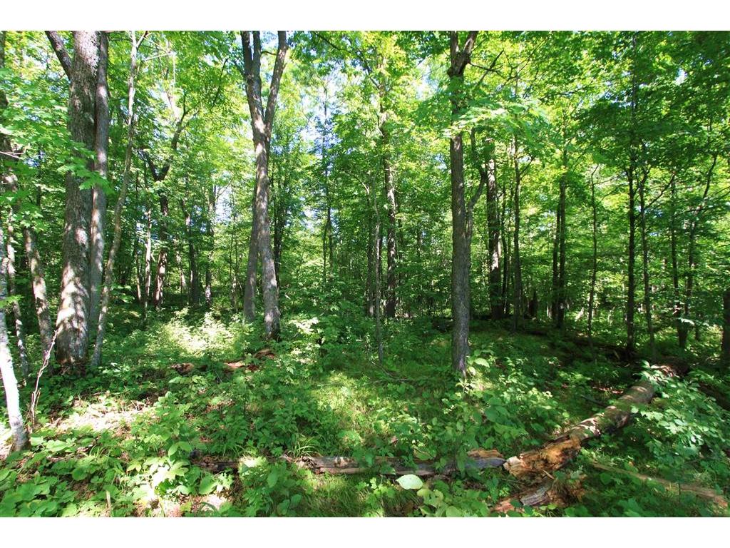 TBD Ross Woodlands Road, Aitkin, MN 56431
