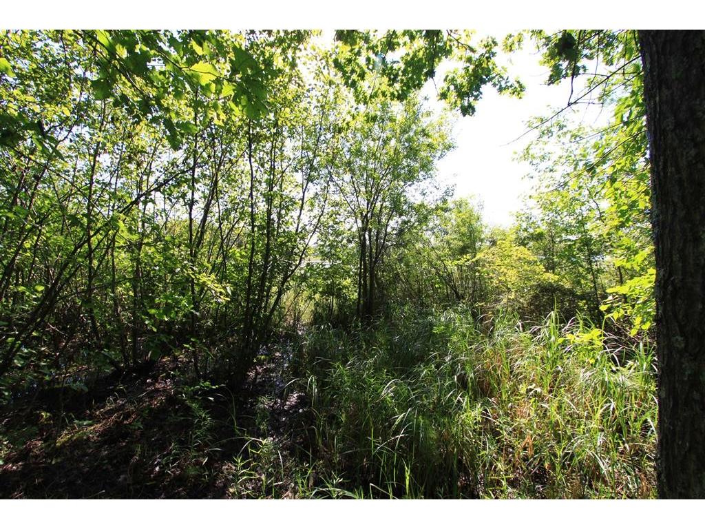 TBD Ross Woodlands Road, Aitkin, MN 56431